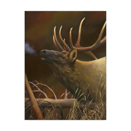 Trademark Fine Art Leo Stans 'Elk Portrait I' Canvas Art, 24x32 WAG02928-C2432GG